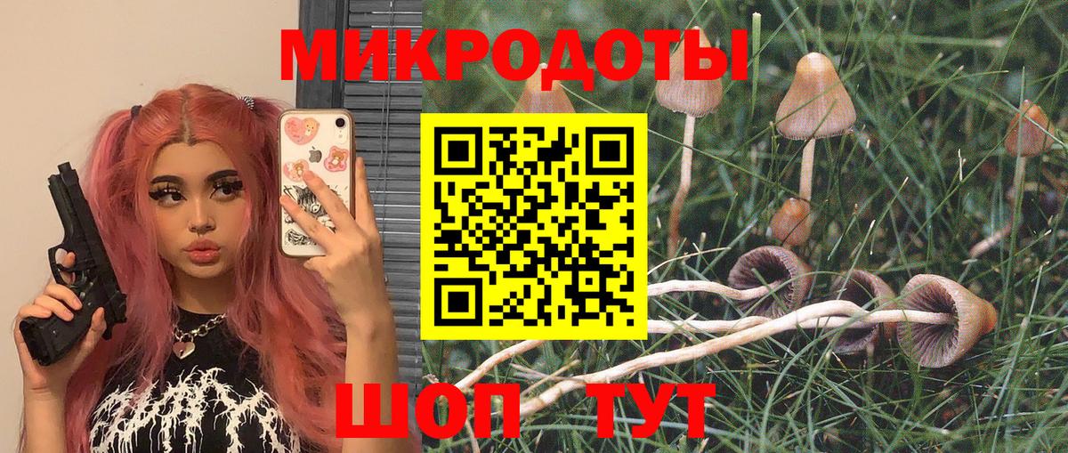 Псилоцибиновые грибы мухоморы Кстово