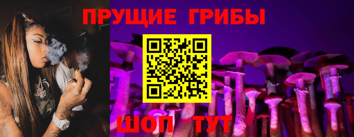 Псилоцибиновые грибы Cubensis  Галлюциногенные грибы Psilocybine cubensis  Кстово  Вход с VPN 