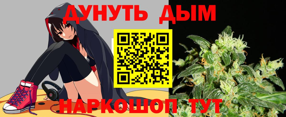 Каннабис OG Kush Кстово